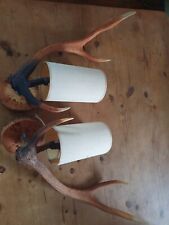 mounted antlers for sale  RADSTOCK