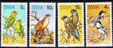 Namibia vögel gebraucht kaufen  Deutschland