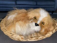 Pomeranian basket sheep for sale  Leominster