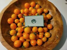 Tomato seeds sungold for sale  Seymour