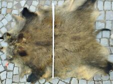 Wildschwein fell gebraucht kaufen  Ubstadt-Weiher