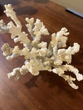 Finger coral fake for sale  Macungie