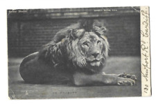 Vintage postcard majesty for sale  YORK