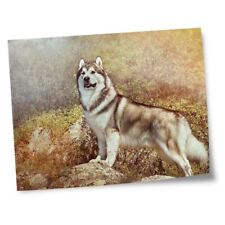 8x10 prints alaskan for sale  SELBY