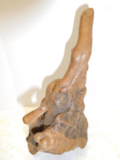 African Mopani "FINGER #1" Wood Piece for Aquarium, Terrarium 10 inch, 454 grams for sale  Shipping to South Africa