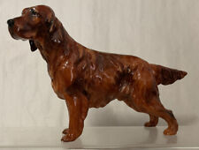 red setter for sale  COLCHESTER