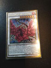 Carte dragon rose d'occasion  Jassans-Riottier