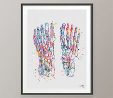 Foot anatomy watercolor for sale  WASHINGTON