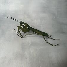 praying mantis for sale  Shipping to Ireland