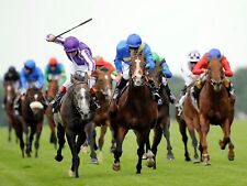 Horse racing way for sale  STRATFORD-UPON-AVON