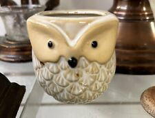 pots small succulents owl for sale  Coppell