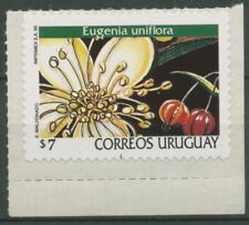 Uruguay 1999 freimarke gebraucht kaufen  Gleichen