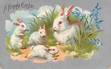 Easter white rabbit for sale  Newton