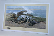 Elephant seals david for sale  MARKET RASEN