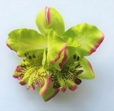 3.5" Lime Green Double Cymbidium Orchid Flower Hair Clip Luau Wedding Cruise for sale  Shipping to South Africa