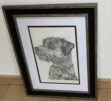 border terrier paintings for sale  PLYMOUTH