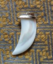 Shark wolf tooth for sale  SHEFFIELD