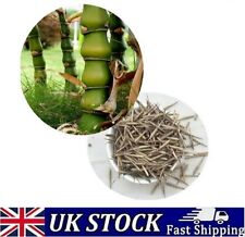 garden bamboo screening for sale  Shipping to Ireland