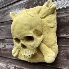 Plain human skull for sale  KING'S LYNN