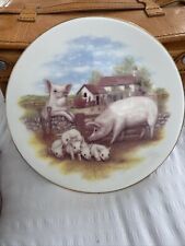 Montford china pig for sale  RUGBY