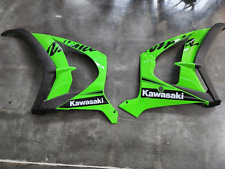 Kawasaki 10rr 2019 gebraucht kaufen  Kempen