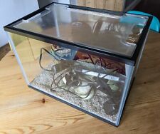 30l small glass for sale  NOTTINGHAM