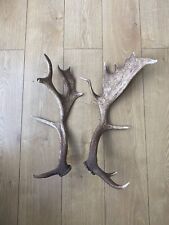 Pair fallow deer for sale  LONDON