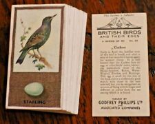 British birds eggs for sale  PORTSMOUTH