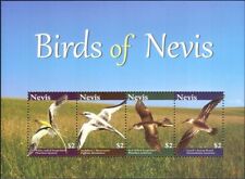 Nevis 2010 birds usato  Italia
