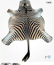 Real zebra skin for sale  Phoenix