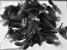 300 black fuzzy for sale  Cypress