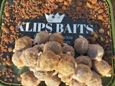 Premium mixed carp for sale  CHRISTCHURCH