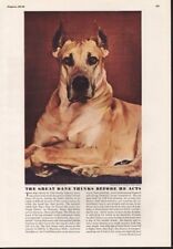 1940 great dane for sale  Branch