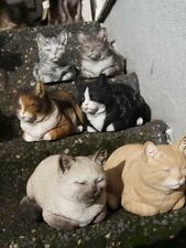 Katze kater deko gebraucht kaufen  Obrighoven