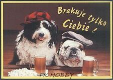 CPA Dog Hund Pies Cane Perro Chiene Humor Beer Bier Alkohol z835 na sprzedaż  PL