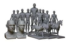 Various 3dtotal anatomy for sale  UK