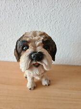 shihtzu gebraucht kaufen  Gilching