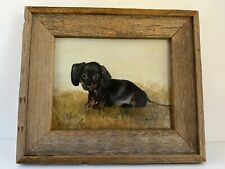 Black dachshund puppy for sale  Colorado Springs
