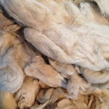 Chilo lana grezza usato  Salerno