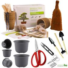 Bonsai tree kit. for sale  WOLVERHAMPTON