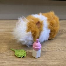 Animagic guinea pig for sale  WARWICK
