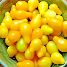 Tomato yellow pear for sale  Greenville