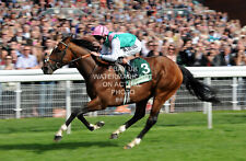 FRANKEL TOM QUEALLY PHOTO PRINT HORSE RACING 14 FROM 14   2 for sale  LEEDS