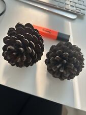 Pine cones two for sale  PORTSMOUTH