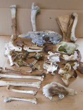 Taxidermy base materials for sale  Halifax