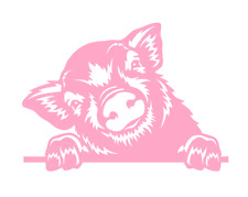 Aufkleber schwein pig gebraucht kaufen  Papenburg