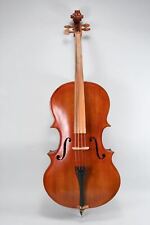 M66v35 cello tasche gebraucht kaufen  Neu-Ulm-Ludwigsfeld