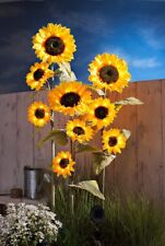 Solar gartenstecker sonnenblum gebraucht kaufen  Sondershausen