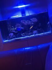 Red sea reefer for sale  PETERBOROUGH