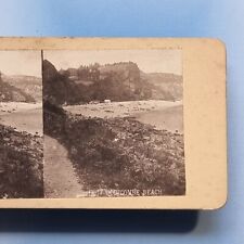 Oddicombe stereoview c1880 for sale  TELFORD